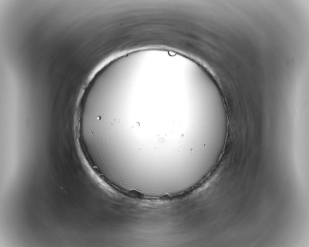 X0000086901526200704301007