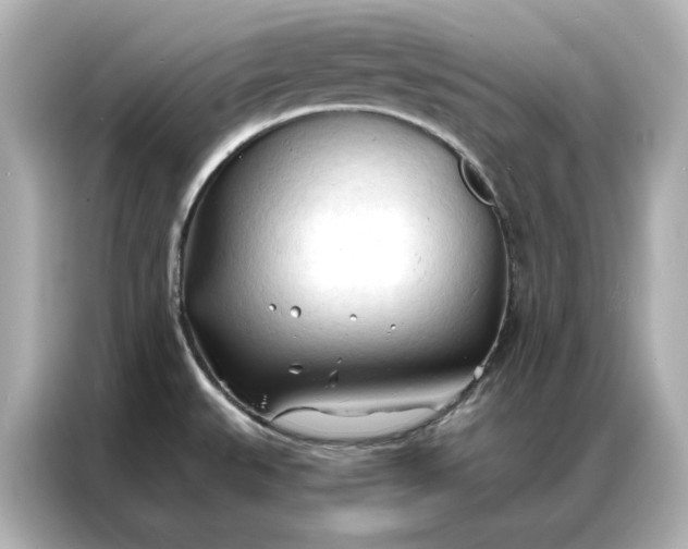 X0000086901527200704301007