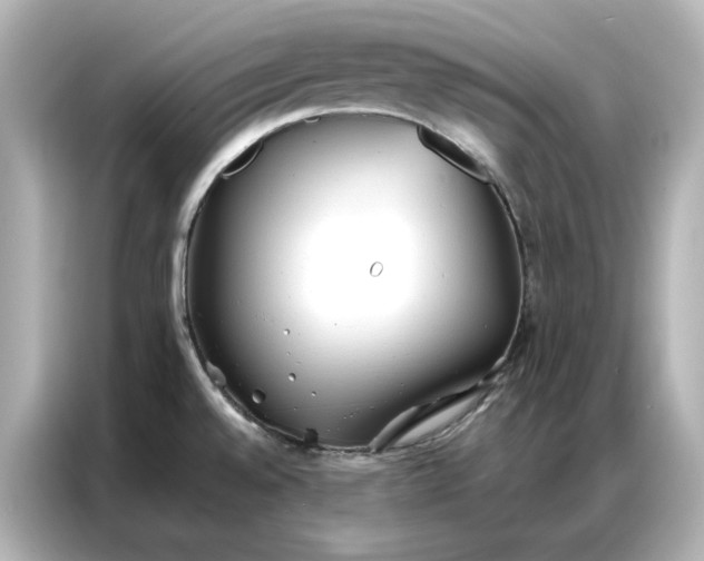 X0000086901528200704301007