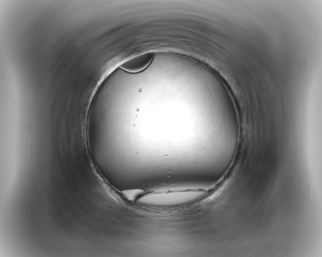 X0000086901529200704301007