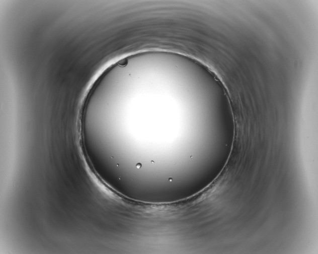 X0000086901531200704301007