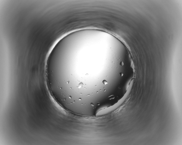 X0000086901532200704301007