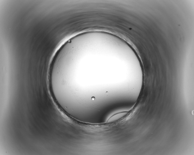 X0000086901533200704301007