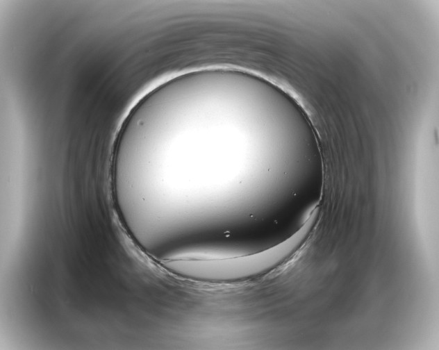 X0000086901534200704301007