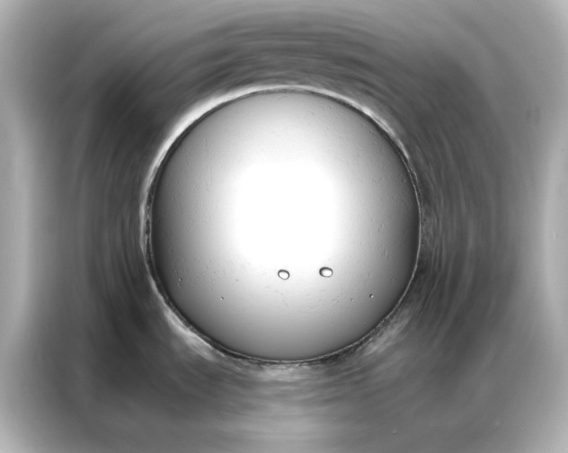 X0000086901535200704301007