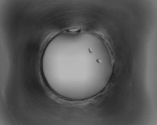 X0000086900001200705071253