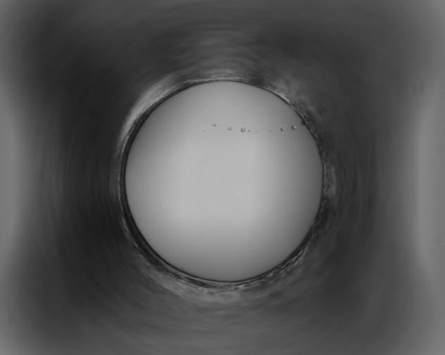 X0000086900004200705071253