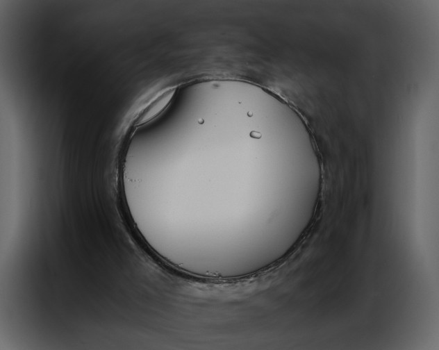 X0000086900005200705071253