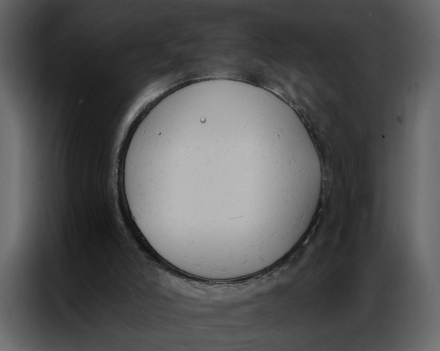 X0000086900006200705071253