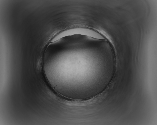 X0000086900009200705071253