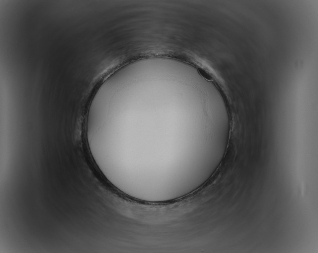 X0000086900010200705071253