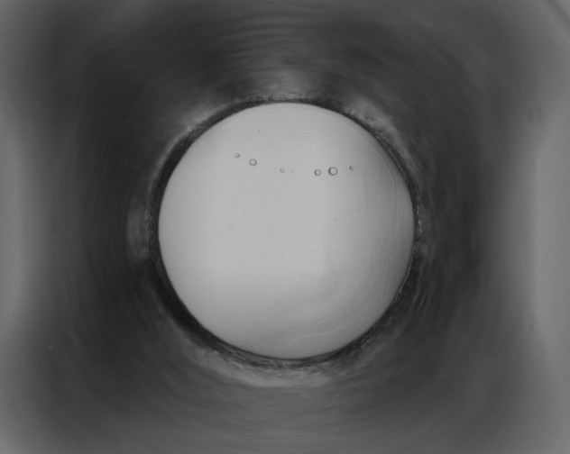 X0000086900012200705071253