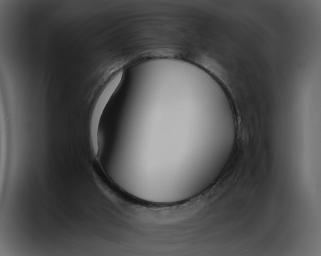 X0000086900013200705071253