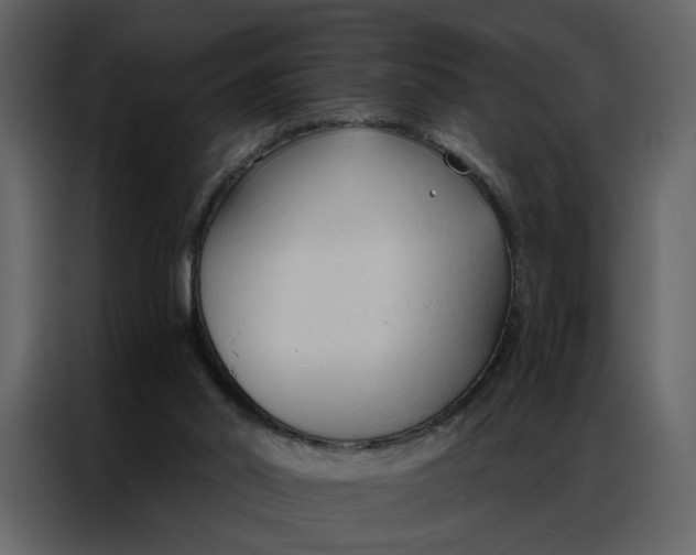 X0000086900014200705071253