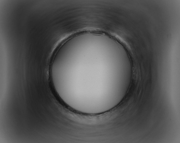 X0000086900015200705071253