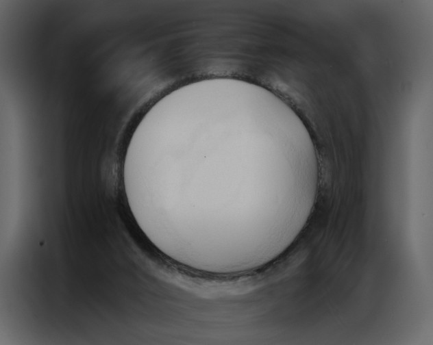 X0000086900016200705071253