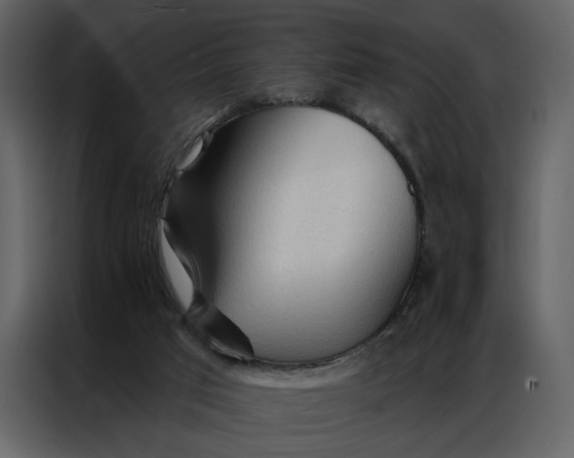 X0000086900017200705071253