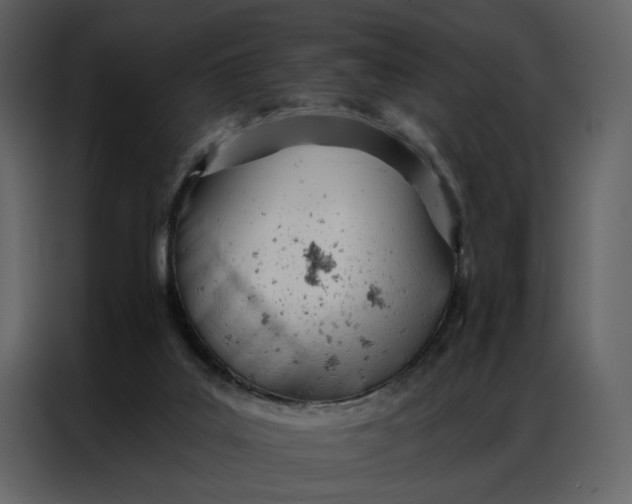 X0000086900019200705071252