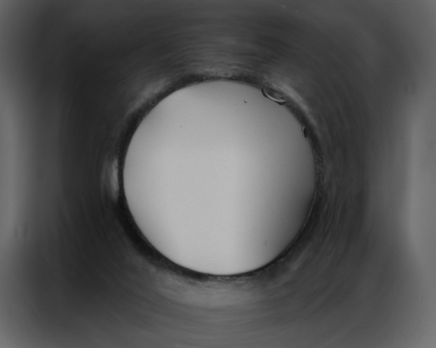 X0000086900020200705071252