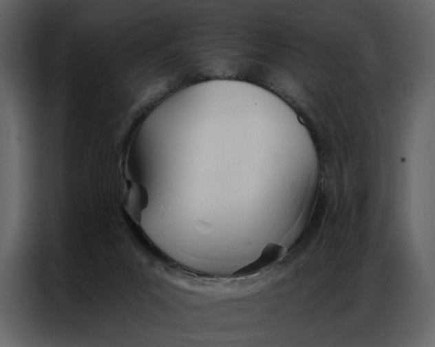 X0000086900023200705071252