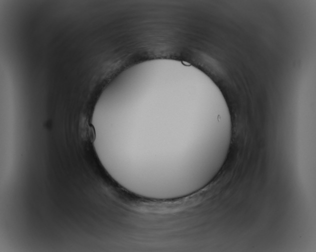 X0000086900025200705071252