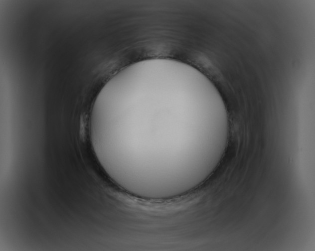 X0000086900026200705071252