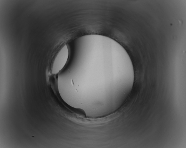 X0000086900027200705071252