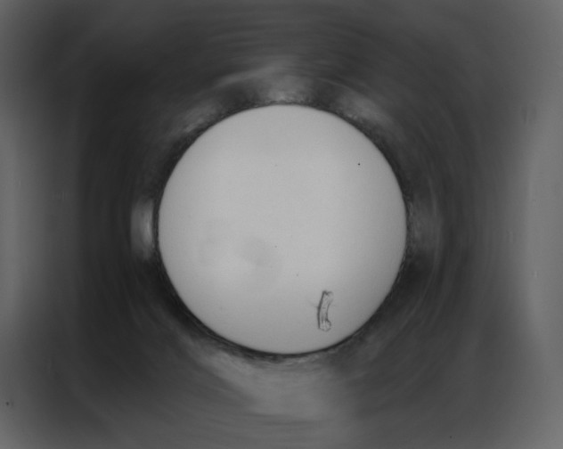 X0000086900028200705071252