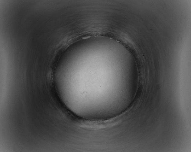 X0000086900029200705071252