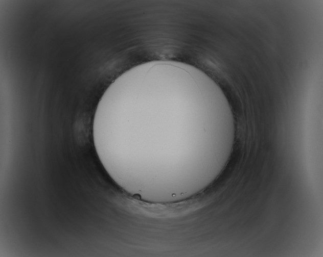 X0000086900030200705071252