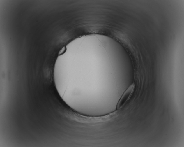 X0000086900031200705071252