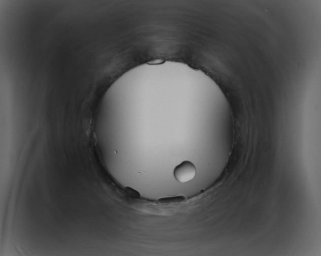 X0000086900033200705071252