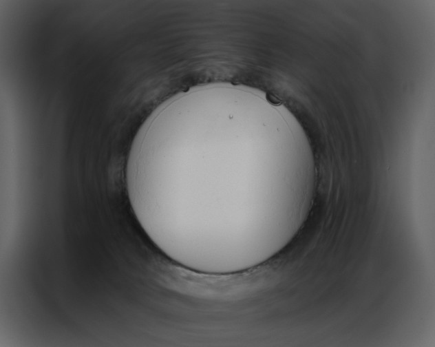 X0000086900034200705071252