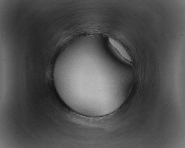 X0000086900035200705071252