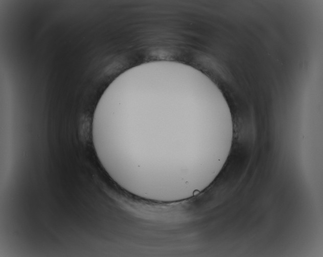 X0000086900036200705071252