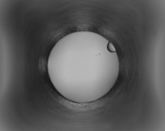 X0000086900038200705071252