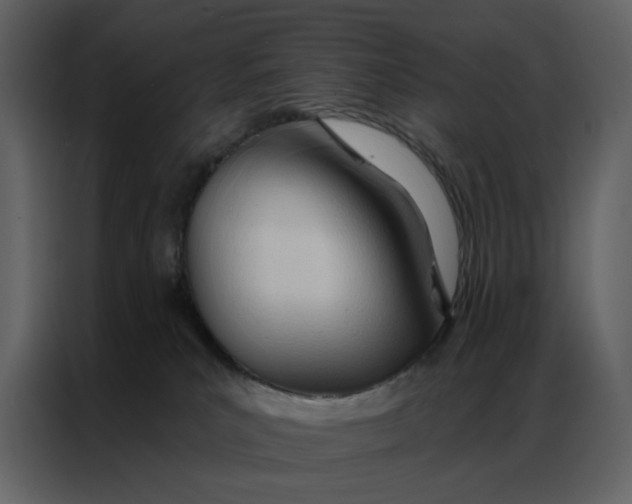 X0000086900039200705071252