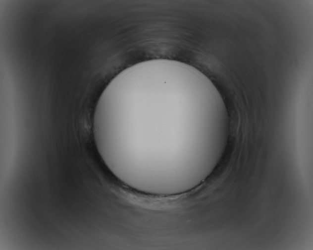 X0000086900040200705071252