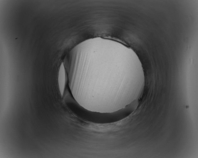 X0000086900041200705071252