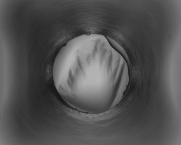 X0000086900043200705071252