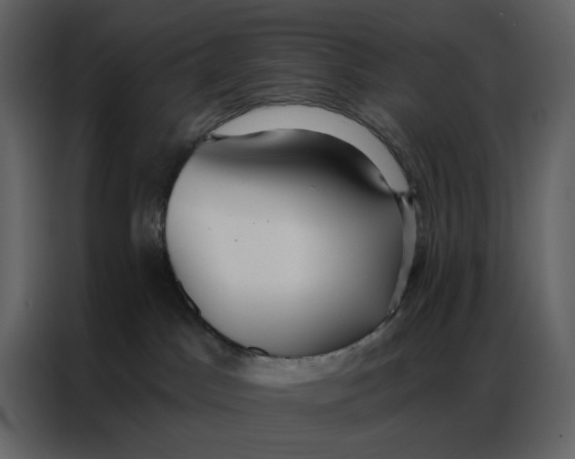 X0000086900045200705071252