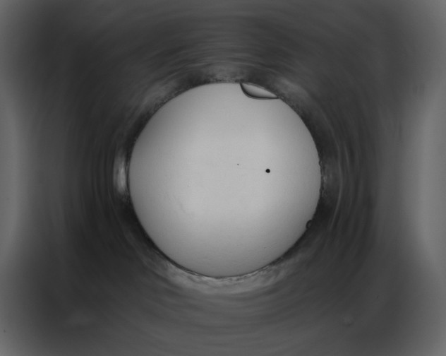 X0000086900046200705071252