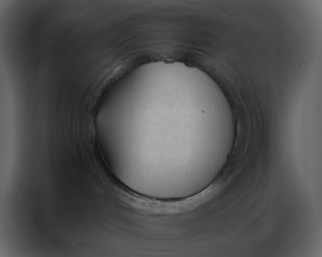 X0000086900048200705071252