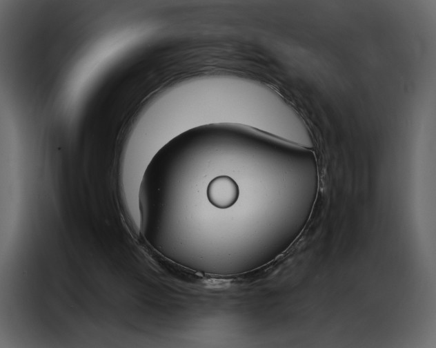 X0000086900052200705071252