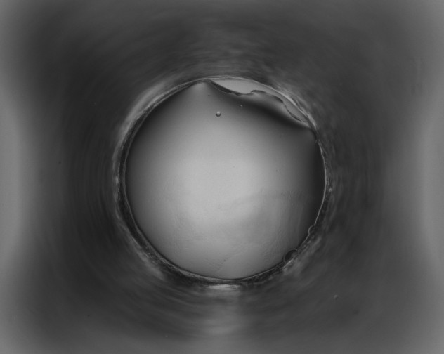 X0000086900053200705071252