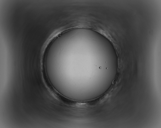 X0000086900055200705071252