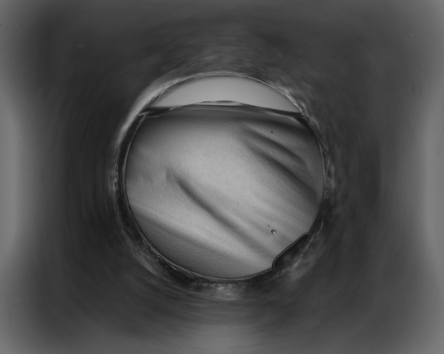 X0000086900056200705071252