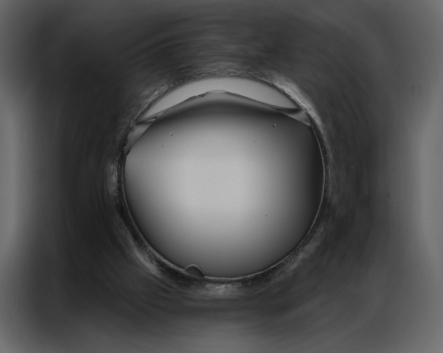 X0000086900057200705071252