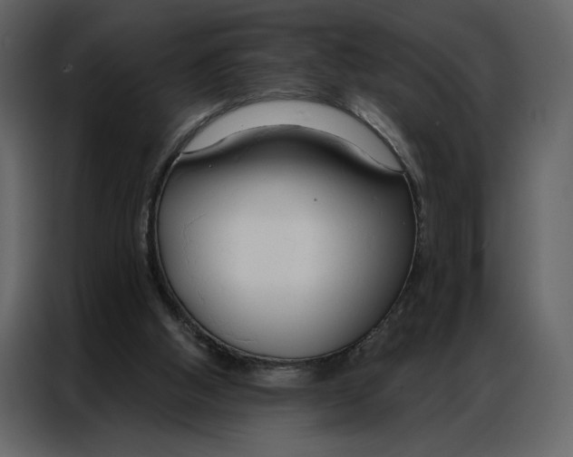 X0000086900058200705071252