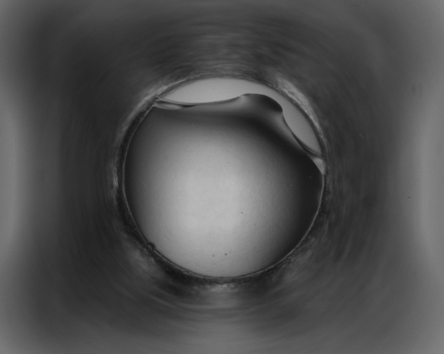 X0000086900059200705071252